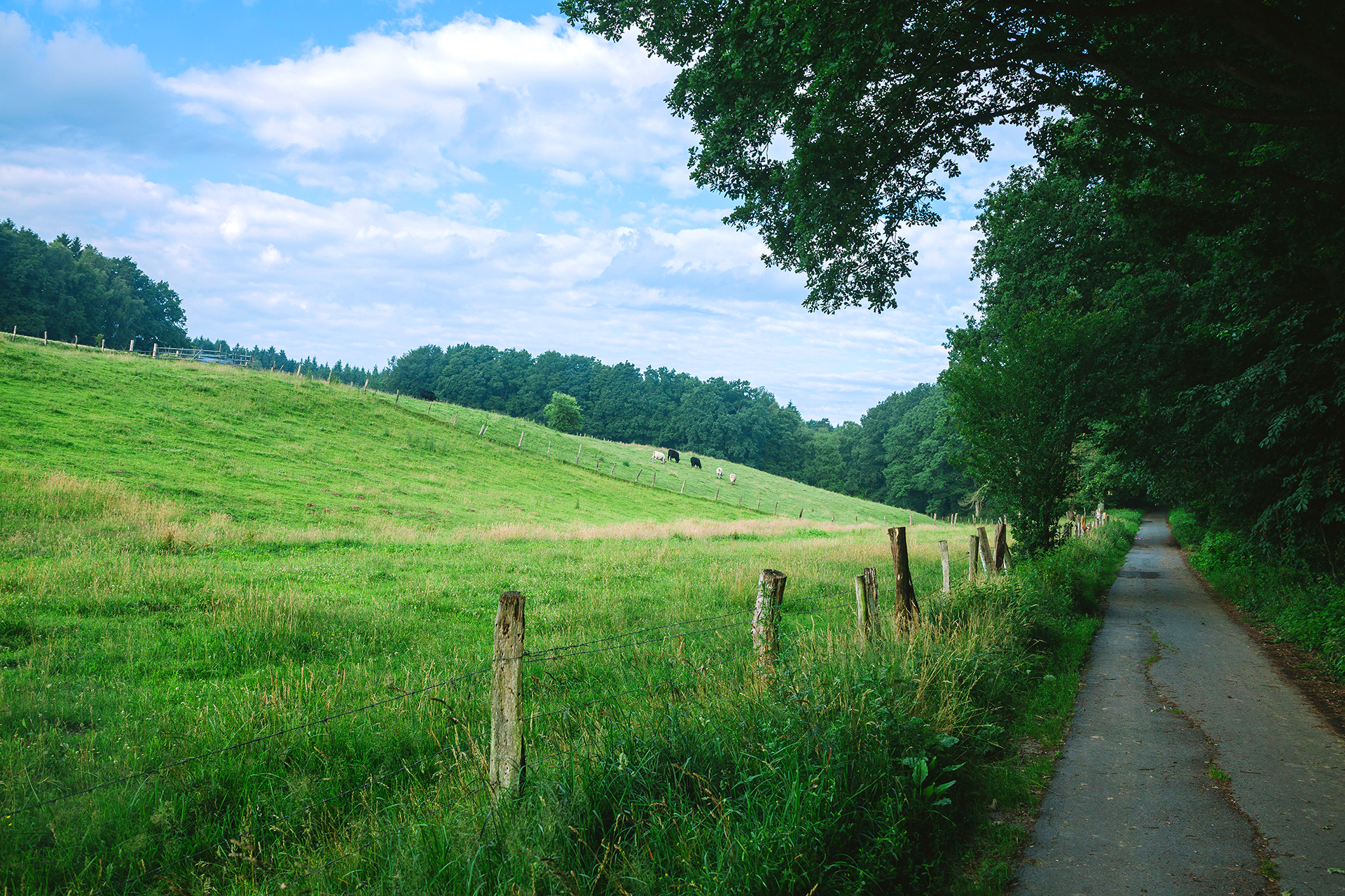 Unilateral Closing of an Access Roadway Is Unlawful Without a Court Order or Consent of Neighbours As Affected Parties